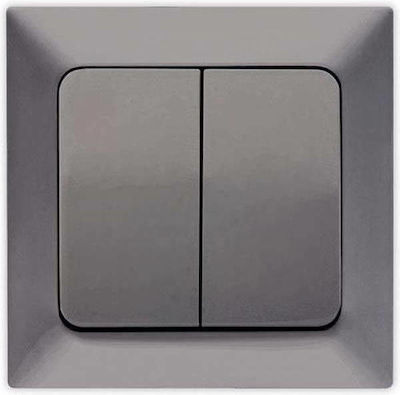 Eurolamp Recessed Electrical Lighting Wall Switch with Frame Basic Smoked