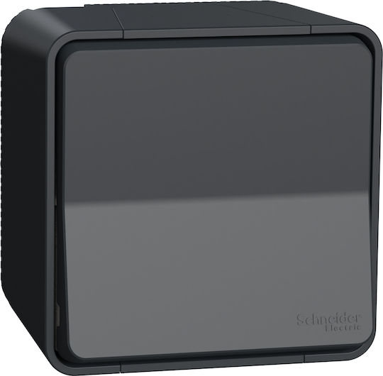 Schneider Electric Mureva Styl Waterproof Wall-mounted Single Switch with Frame Aller Retour Anthracite