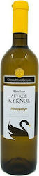 Ellinika Kellaria Oinon White Swan White Dry 750ml Ellinika Kellaria Oinon White Swan White Dry 750ml