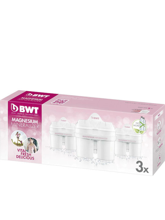 BWT Water Filter Replacement for Pitcher Longlife 3pcs