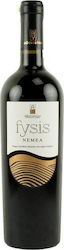 Αθανασίου Fysis Ερυθρό Ξηρό Νεμέας 750ml