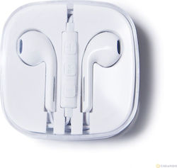 Green Mouse Ακουστικά Ψείρες Earbuds Green Mouse Universal Λευκά