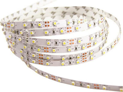 Eurolamp LED Strip Power Supply 24V with Natural White Light Length 5m and 60 LEDs per Meter SMD5050