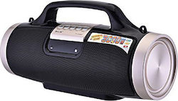 Goldon Ηχείο RX-2038MIC
