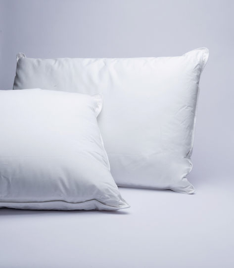 Palamaiki Cottonello Kopfkissen Baumwolle 50x70cm
