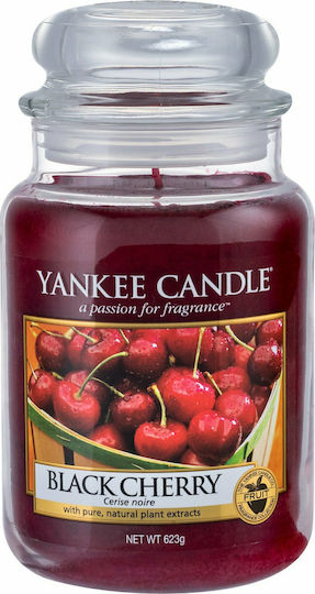 Yankee Candle Αρωματικό Κερί Signature σε Βάζο με Άρωμα Black Cherry 623gr