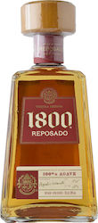 1800