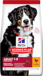 Hill's Science Plan Adult Large 14kg Trockenfutter für erwachsene Hunde großer Rassen mit Huhn