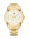 Tommy Hilfiger Haven Γυναικείο Ρολόι 38mm Χρονογράφος Μπαταρίας με Χρυσό Μεταλλικό Μπρασελέ
