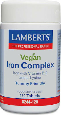 Lamberts Vegan Iron Complex 120 file