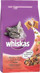 Whiskas Dental Protection Plus Adult Trockenfutter für erwachsene Katzen mit Kalb 14kg