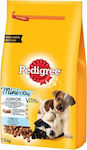 Pedigree Vital Protection 1.4kg Dry Food for Puppies of Small Breeds with and with Chicken / Rice