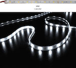 Adeleq Waterproof LED Strip Power Supply 12V with Cold White Light Length 5m and 30 LEDs per Meter SMD5050