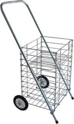 Metallic Shopping Trolley Gray