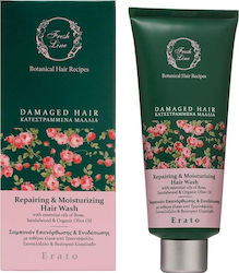 Fresh Line Erato 200ml Fresh Line Erato 200ml