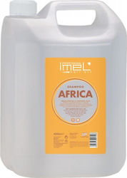 Imel Africa Shampoos Reconstruction/Nourishment 4000ml