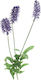 Zaros Artificial Decorative Branch Lavender Purple 58cm 1pcs