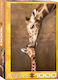 Giraffe Mother's Kiss Puzzle 2D 1000 Pieces