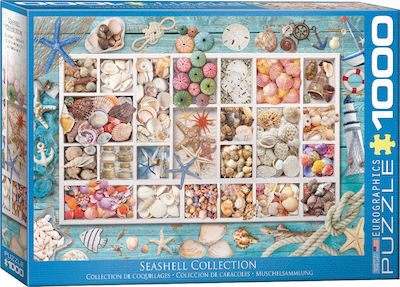 Seashell Collection Puzzle 2D 1000 Pieces