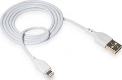 XO Regular USB to Lightning Cable Λευκό 1m (NB103)