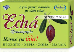 PanSoap Olive Oil Soap 100gr