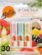 Malibu Lip Care Balm Set