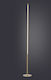 Aca LED Floor Lamp H146xW18cm. with Warm White Light Gold