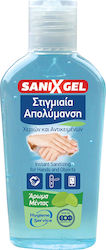Hygiene Service Sanix Гел Гел 80 мл Hygiene Service Sanix Гел Гел 80 мл