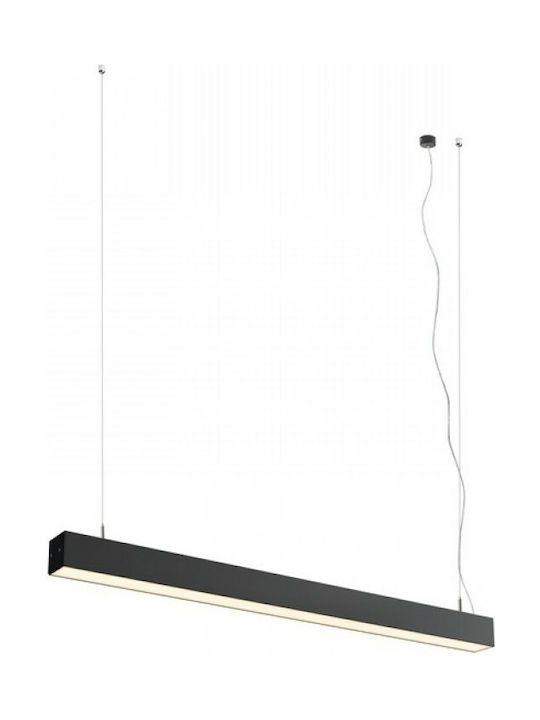 Rendl Light Studio Pesante 75 Pendant Light LED Rail Black