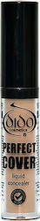 Dido Cosmetics Perfect Cover 103