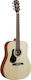 Alvarez Acoustic Guitar Regent RD26L For Left-Handed Players Natural