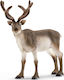 Schleich-S Miniature Toy Reindeer for 3-8 Years 9cm.