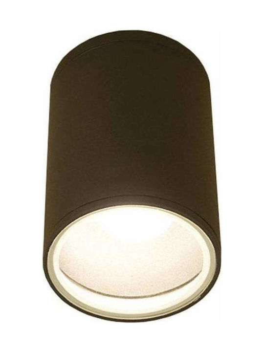 Nowodvorski Outdoor Ceiling Spot E27 in Black Color 3403