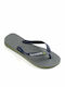 Havaianas Brasil Logo Men's Flip Flops Gray