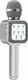 WSTER Wireless Karaoke Microphone WS-1818 Silver
