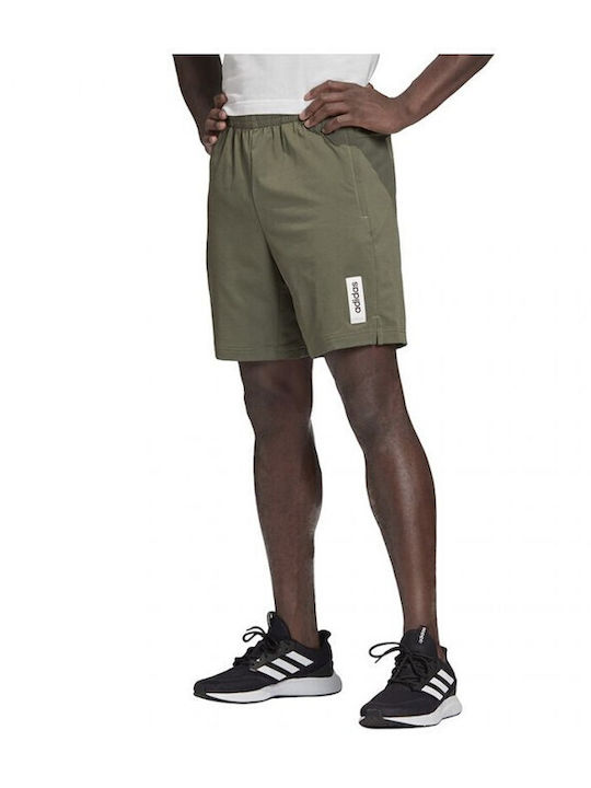 Adidas Sportliche Herrenshorts Khaki