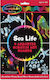 Melissa & Doug Painting Scratch Sea Life for Children 4+ Years