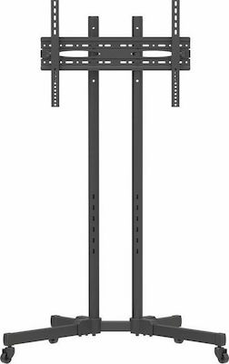 Focus Mount Fixed T176 TV Mount Floor up to 65" and 40kg