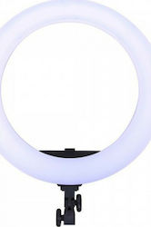 E-Reise YR-01 Ring Light 45cm 3200 - 5500K E-Reise YR-01 Ring Light 45cm 3200 - 5500K