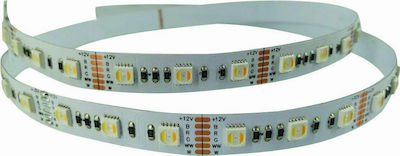 Eurolamp Pro Ταινία LED Τροφοδοσίας 24V RGBW Μήκους 5m και 60 LED ανά Μέτρο Τύπου SMD5050