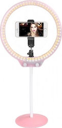 Zomei ZM128 Ring Light 26.6cm 3200 - 5500K with Desktop Stand/Mount Stand and Mobile Holder Pink