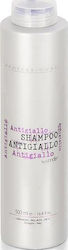 Alan Jey Silver Shampoo 500ml