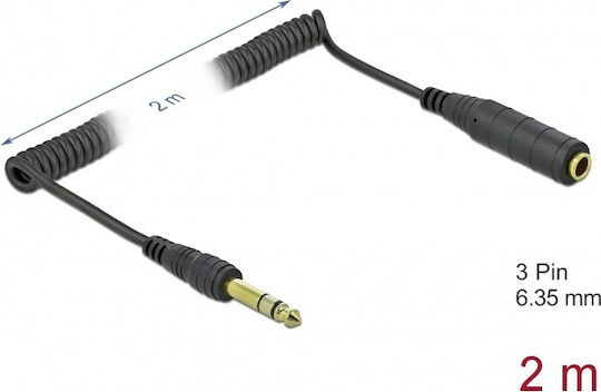 DeLock Cable 6.3mm male - 6.3mm female 2m (99972)