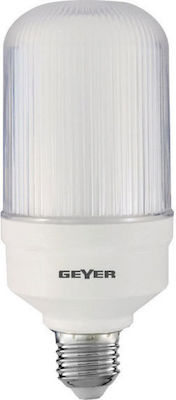 Geyer LED Lampen für Fassung E27 Naturweiß 1500lm 1Stück