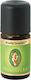 Primavera Biological Essential Oil Old Pine Wood 5ml