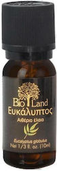 Bio Land Αιθέριο Έλαιο Ευκάλυπτος 10ml