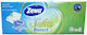 Zewa Softis Protect 10 Пакета Джобни Кърпички 4...
