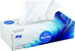 Servin 100 Tissues Quality 2 Sheets 125gr