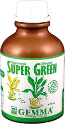 Gemma Liquid Fertilizer Super Green Χηλικός Σίδηρος υγρός for Acidophilous Organic 0.25lt