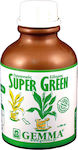 Gemma Λίπασμα Βιολογικής Καλλιέργιας Super Green Χηλικός Σίδηρος υγρός για Οξύφιλα 0.25lt